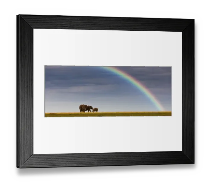 Framed Print : African elephants -Loxodonta africana- on the horizon, rainbow, Masai Mara National Reserve, Kenya, East Africa, PublicGround Framed Print : African elephants -Loxodonta africana- on the horizon, rainbow, Masai Mara National Reserve, Kenya, East Africa, PublicGround