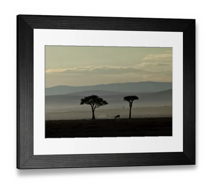 Framed Print : Blue Wildebeest -Connochaetes taurinus- on the run in the early dawn, Masai Mara National Reserve, Kenya, East Africa, Africa, PublicGround Framed Print : Blue Wildebeest -Connochaetes taurinus- on the run in the early dawn, Masai Mara National Reserve, Kenya, East Africa, Africa, PublicGround