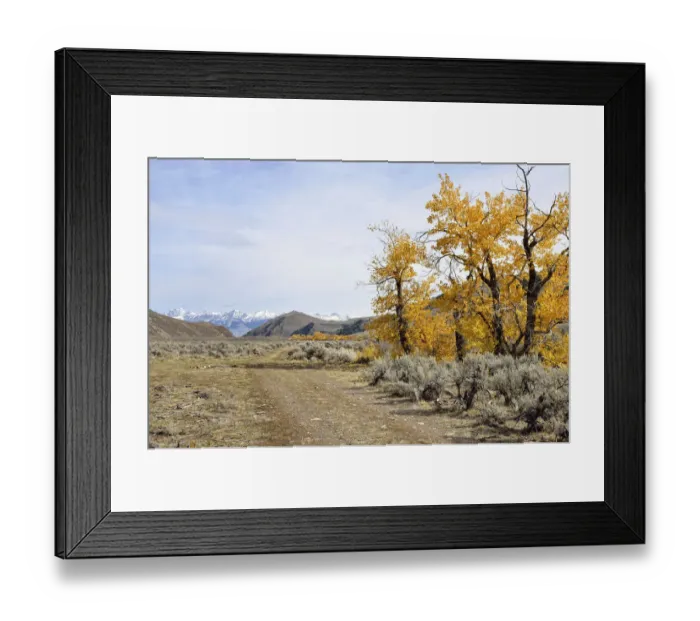 Framed Print : Roadway with autumnal coloured trees in the Big Lost River Valley, Lost River Range at back, Mackay, Idaho, USA Framed Print : Roadway with autumnal coloured trees in the Big Lost River Valley, Lost River Range at back, Mackay, Idaho, USA