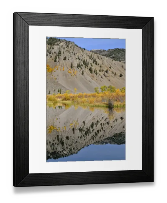 Framed Print : Reflections in the Trail Creek, Trail Creek Valley, Sun Valley, Idaho, USA Framed Print : Reflections in the Trail Creek, Trail Creek Valley, Sun Valley, Idaho, USA