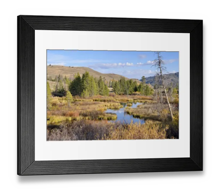 Framed Print : Big Wood River, Boulder Mountains at back, Highway 75, Ketchum, Idaho, USA Framed Print : Big Wood River, Boulder Mountains at back, Highway 75, Ketchum, Idaho, USA