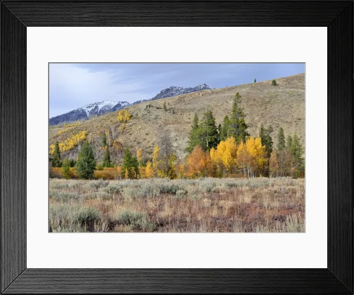 Framed Print : Boulder Mountain, Highway 75, Ketchum, Idaho, USA Framed Print : Boulder Mountain, Highway 75, Ketchum, Idaho, USA