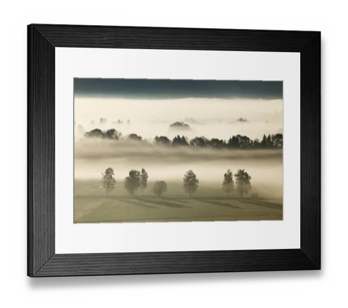 Framed Print : Morning fog over Loisach Moor or Loisach-Kochelsee-Moor near Grossweil, Blaues Land region, Upper Bavaria, Bavaria, Germany, Europe Framed Print : Morning fog over Loisach Moor or Loisach-Kochelsee-Moor near Grossweil, Blaues Land region, Upper Bavaria, Bavaria, Germany, Europe