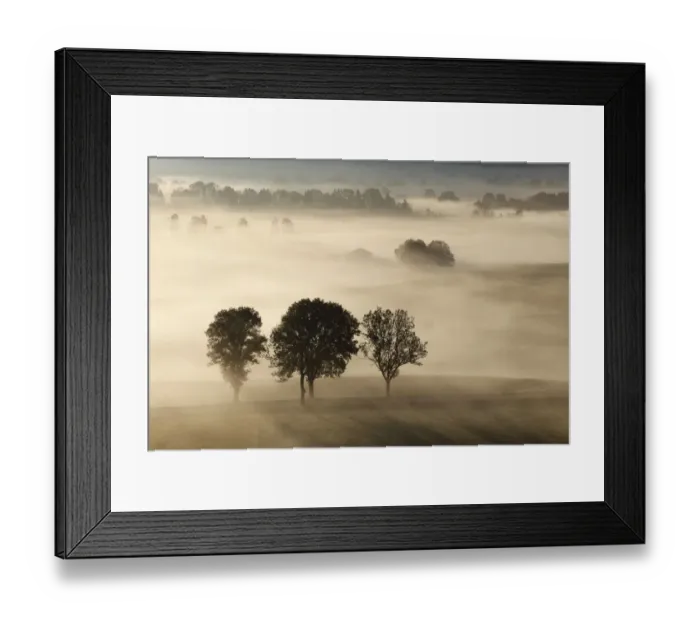 Framed Print : Morning fog over Loisach Moor or Loisach-Kochelsee-Moor, Blaues Land region, Upper Bavaria, Bavaria, Germany, Europe Framed Print : Morning fog over Loisach Moor or Loisach-Kochelsee-Moor, Blaues Land region, Upper Bavaria, Bavaria, Germany, Europe