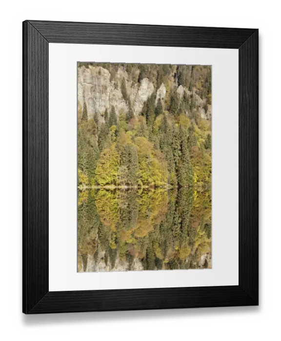 Framed Print : Lake Feldsee and Feldberg mountain, Black Forest, Baden-Wurttemberg, Germany Framed Print : Lake Feldsee and Feldberg mountain, Black Forest, Baden-Wurttemberg, Germany