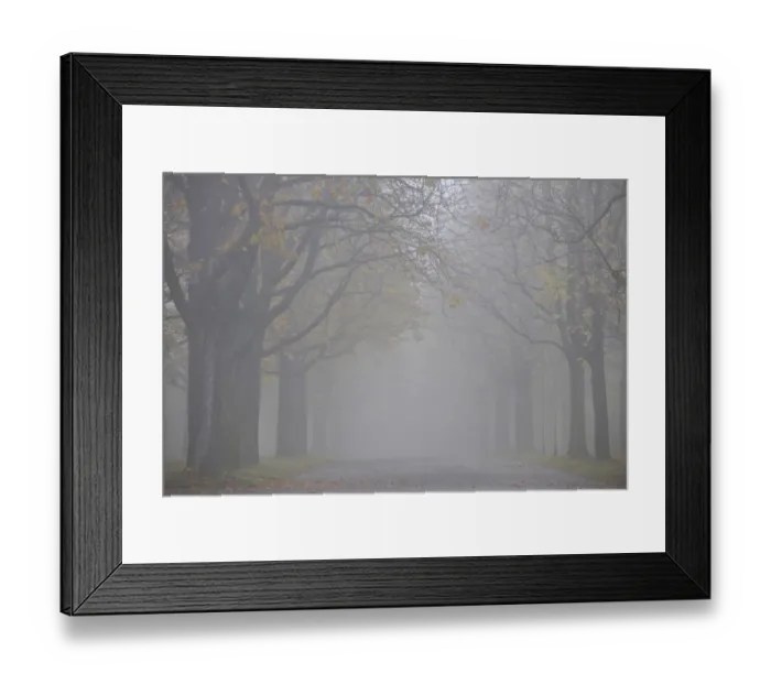 Framed Print : Autumn mood, tree-lined avenue in fog, Stuttgart, Baden-Wuerttemberg, Germany, Europe Framed Print : Autumn mood, tree-lined avenue in fog, Stuttgart, Baden-Wuerttemberg, Germany, Europe