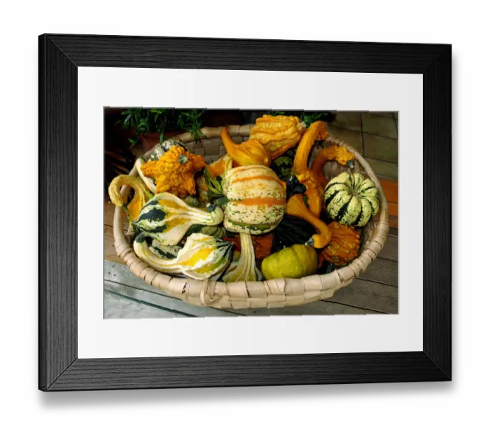 Framed Print : Various ornamental gourds in a basket, Bavaria, Germany Framed Print : Various ornamental gourds in a basket, Bavaria, Germany