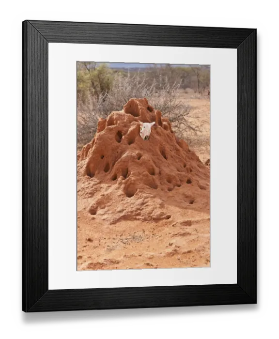 Framed Print : Termite mound with an animal skull, Samburu National Reserve, Kenya, East Africa, PublicGround Framed Print : Termite mound with an animal skull, Samburu National Reserve, Kenya, East Africa, PublicGround