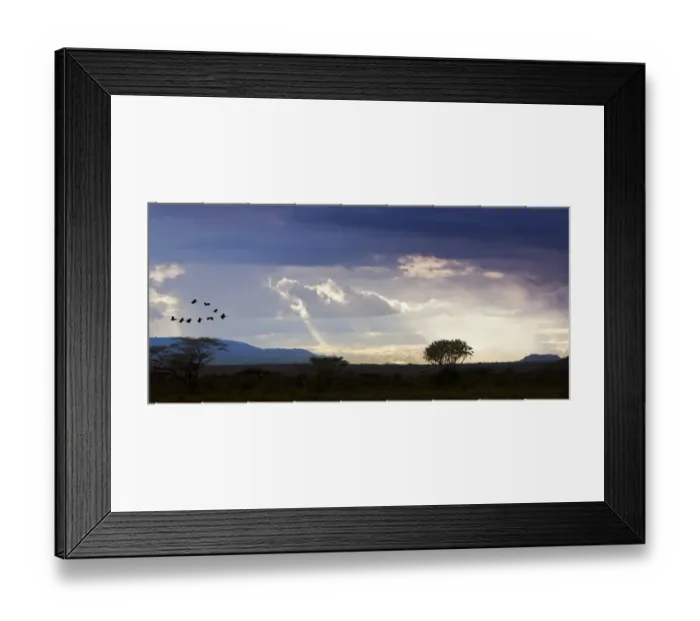 Framed Print : View of the Samburu National Park at dusk, Samburu National Reserve, Kenya, East Africa, PublicGround Framed Print : View of the Samburu National Park at dusk, Samburu National Reserve, Kenya, East Africa, PublicGround