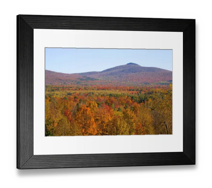 Framed Print : Landscape with trees in autumnal colours, Mansonville, Quebec, Canada Framed Print : Landscape with trees in autumnal colours, Mansonville, Quebec, Canada