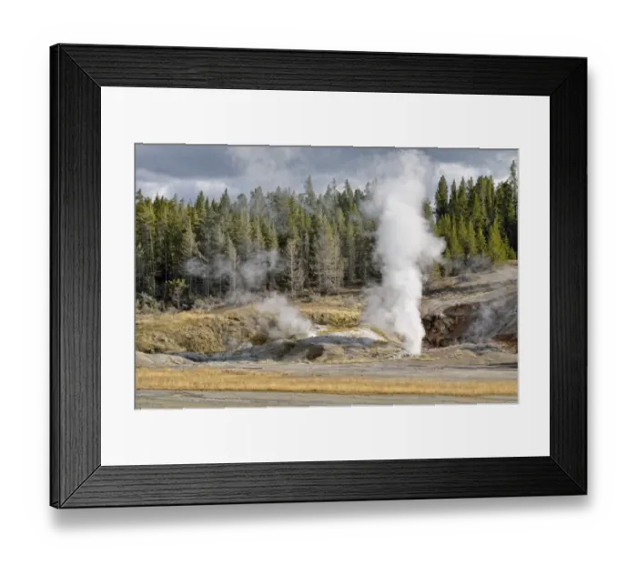 Framed Print : Black Growler Steam Vent, Porcelain Basin, Norris Geyser Basin, Yellowstone National Park, Wyoming, USA Framed Print : Black Growler Steam Vent, Porcelain Basin, Norris Geyser Basin, Yellowstone National Park, Wyoming, USA