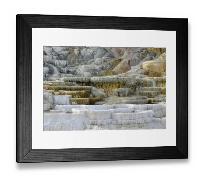 Framed Print : Living Color sinter terraces, coloured by thermophilic bacteria, Lower Terraces Area, Mammoth Hot Springs, Yellowstone National Park, Wyoming, USA Framed Print : Living Color sinter terraces, coloured by thermophilic bacteria, Lower Terraces Area, Mammoth Hot Springs, Yellowstone National Park, Wyoming, USA