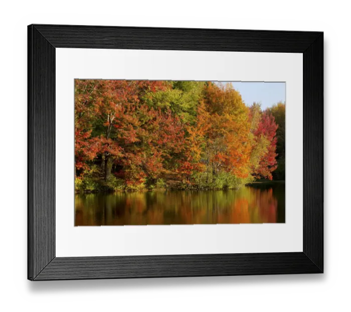 Framed Print : Trees in autumnal colours reflected in lake, Iron Hill, Quebec, Canada Framed Print : Trees in autumnal colours reflected in lake, Iron Hill, Quebec, Canada
