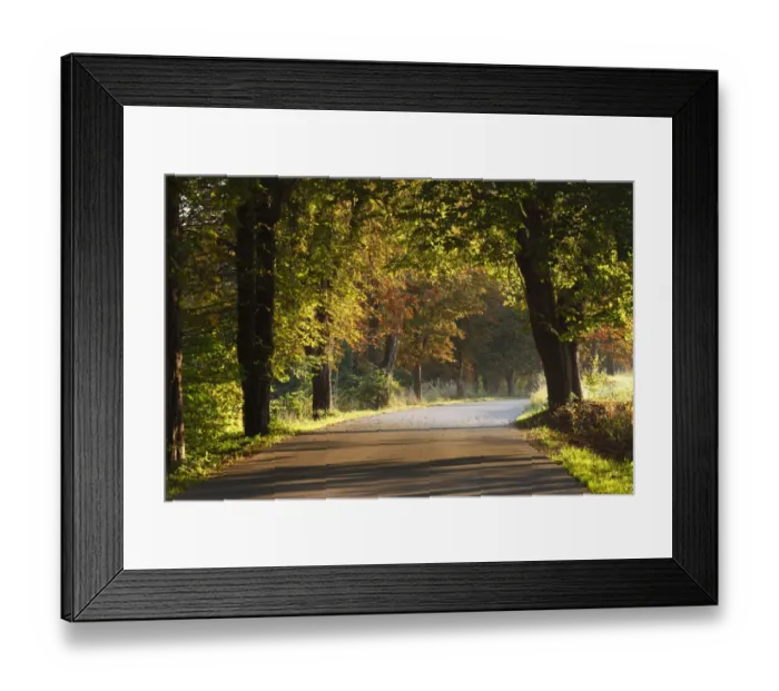 Framed Print : Autumnal avenue near Eurasburg, Upper Bavaria, Bavaria, Germany, Europe, PublicGround Framed Print : Autumnal avenue near Eurasburg, Upper Bavaria, Bavaria, Germany, Europe, PublicGround