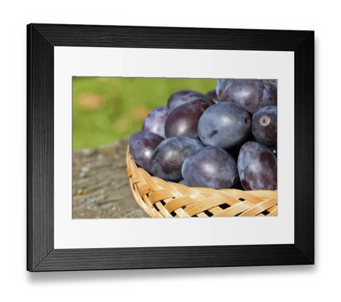 Framed Print : Plums in a basket
