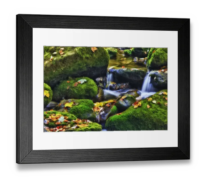 Framed Print : Small creek in a forest with a waterfall, Bavarian Forest National Park, Bavaria, Germany, Europe Framed Print : Small creek in a forest with a waterfall, Bavarian Forest National Park, Bavaria, Germany, Europe