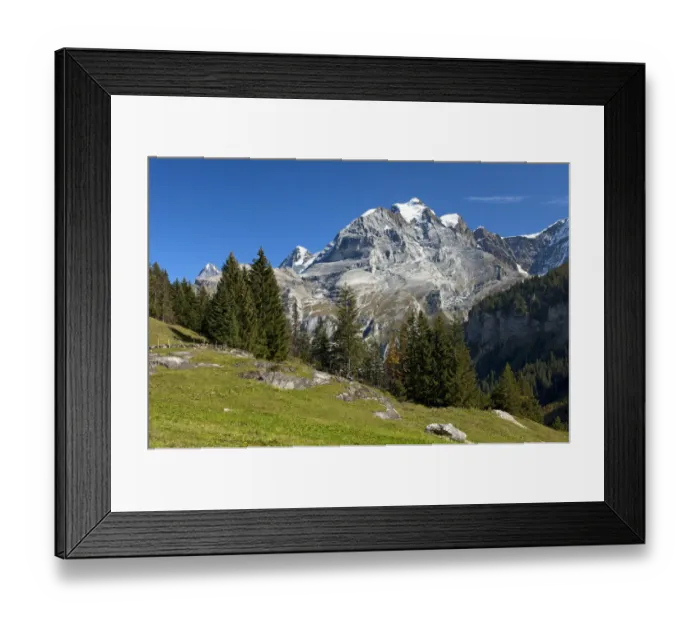 Framed Print : Muerren hiking area, view of Mt Jungfrau, Bernese Oberland, Switzerland, Europe Framed Print : Muerren hiking area, view of Mt Jungfrau, Bernese Oberland, Switzerland, Europe