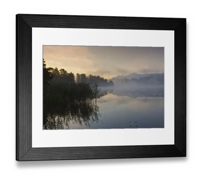 Framed Print : Fog on Lake Staffelsee with the island of Woerth near Seehausen, Murnau, Upper Bavaria, Bavaria, Germany, Europe, PublicGround Framed Print : Fog on Lake Staffelsee with the island of Woerth near Seehausen, Murnau, Upper Bavaria, Bavaria, Germany, Europe, PublicGround