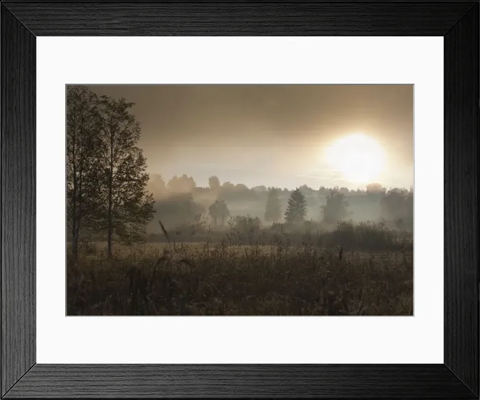 Framed Print : Fog on Lake Staffelsee, Seehausen, Murnau, Upper Bavaria, Bavaria, Germany, Europe, PublicGround Framed Print : Fog on Lake Staffelsee, Seehausen, Murnau, Upper Bavaria, Bavaria, Germany, Europe, PublicGround
