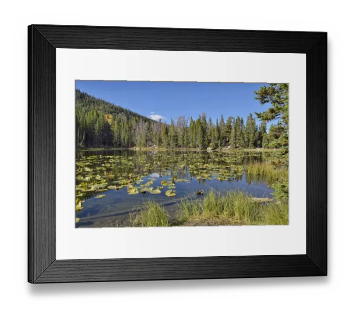 Framed Print : Nymph Lake, Rocky Mountain National Park, Colorado, USA Framed Print : Nymph Lake, Rocky Mountain National Park, Colorado, USA