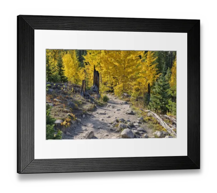 Framed Print : Trail to Ouzel Falls, Wild Basin, Rocky Mountains National Park, Colorado, USA Framed Print : Trail to Ouzel Falls, Wild Basin, Rocky Mountains National Park, Colorado, USA