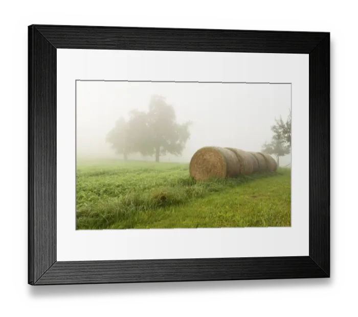 Framed Print : Straw bales in a field in autumn, Ueberlingen, Lake Constance, Baden-Wuerttemberg, Germany, Europe, PublicGround Framed Print : Straw bales in a field in autumn, Ueberlingen, Lake Constance, Baden-Wuerttemberg, Germany, Europe, PublicGround