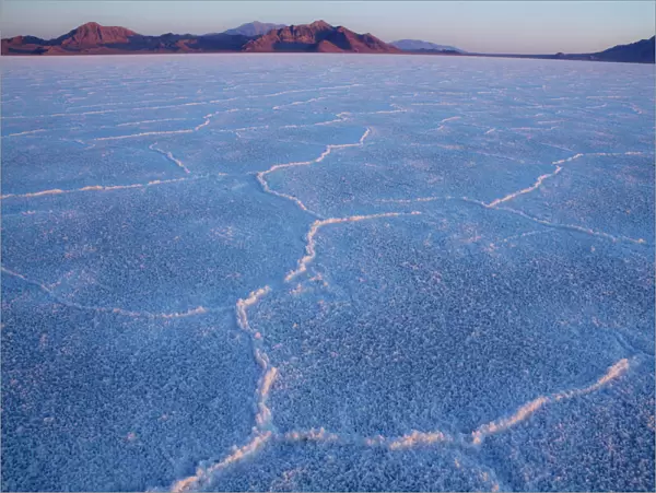 First light on Bonneville Salt Flats near the Utah-Nevada border. The morning light highlights the delicate colors of the salt crystal patterns that form on the crust of the surface