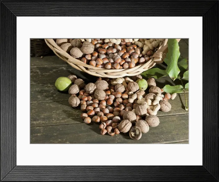 Framed Print : Wicker basket with mixed nuts, Walnuts -Juglans regia-, Peanuts -Arachis hypogaea- and Hazelnuts -Corylus avellana- on a rustic wooden table Framed Print : Wicker basket with mixed nuts, Walnuts -Juglans regia-, Peanuts -Arachis hypogaea- and Hazelnuts -Corylus avellana- on a rustic wooden table