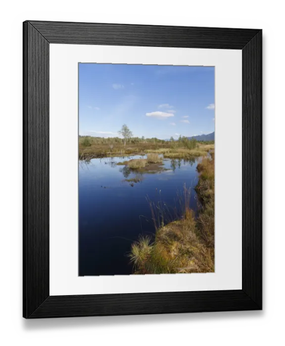 Framed Print : Kendlmuehlfilzen nature reserve, also known as Kendlmuehlfilzn or Kendlmuehlfilz nature reserve, Grassau, Chiemgau, Upper Bavaria, Bavaria, Germany, Europe Framed Print : Kendlmuehlfilzen nature reserve, also known as Kendlmuehlfilzn or Kendlmuehlfilz nature reserve, Grassau, Chiemgau, Upper Bavaria, Bavaria, Germany, Europe