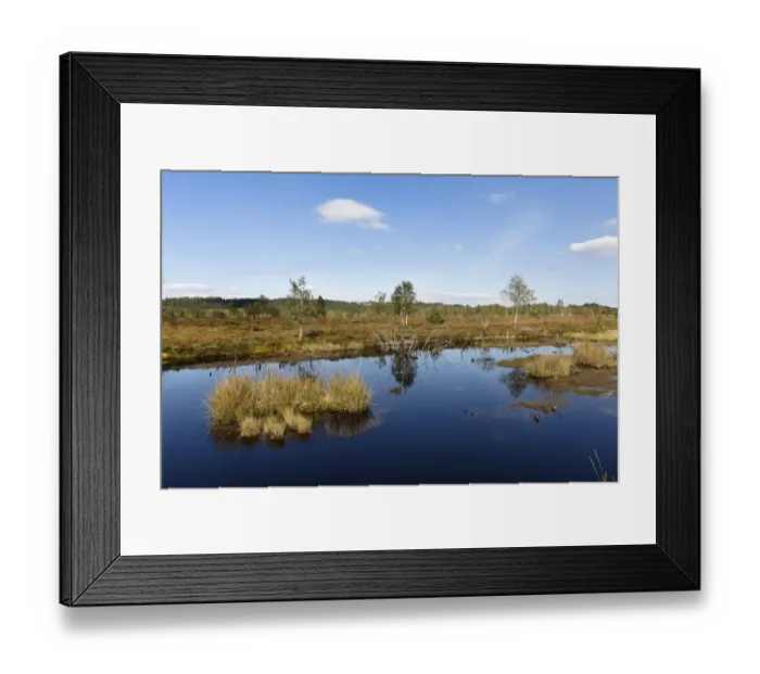 Framed Print : Kendlmuehlfilzen nature reserve, also known as Kendlmuehlfilzn or Kendlmuehlfilz nature reserve, Grassau, Westerbuchberg at the back, Chiemgau, Upper Bavaria, Bavaria, Germany, Europe Framed Print : Kendlmuehlfilzen nature reserve, also known as Kendlmuehlfilzn or Kendlmuehlfilz nature reserve, Grassau, Westerbuchberg at the back, Chiemgau, Upper Bavaria, Bavaria, Germany, Europe