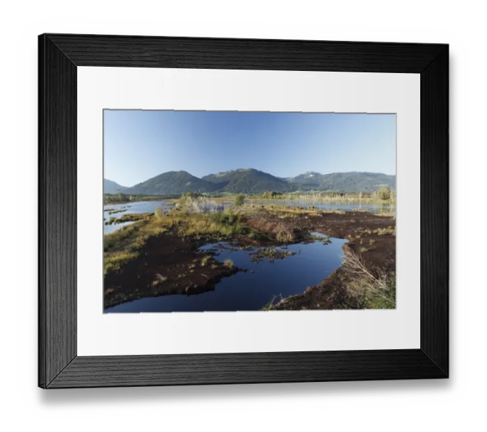 Framed Print : Nicklheimer Moor, peat bogs, moor restoration area between Raubling and Bad Feilnbach, Mt Wildalpjoch and Mt Hochsalwand in the Mangfall mountains, Mangfallgebirge, Upper Bavaria, Bavaria, Germany, Europe, PublicGround Framed Print : Nicklheimer Moor, peat bogs, moor restoration area between Raubling and Bad Feilnbach, Mt Wildalpjoch and Mt Hochsalwand in the Mangfall mountains, Mangfallgebirge, Upper Bavaria, Bavaria, Germany, Europe, PublicGround