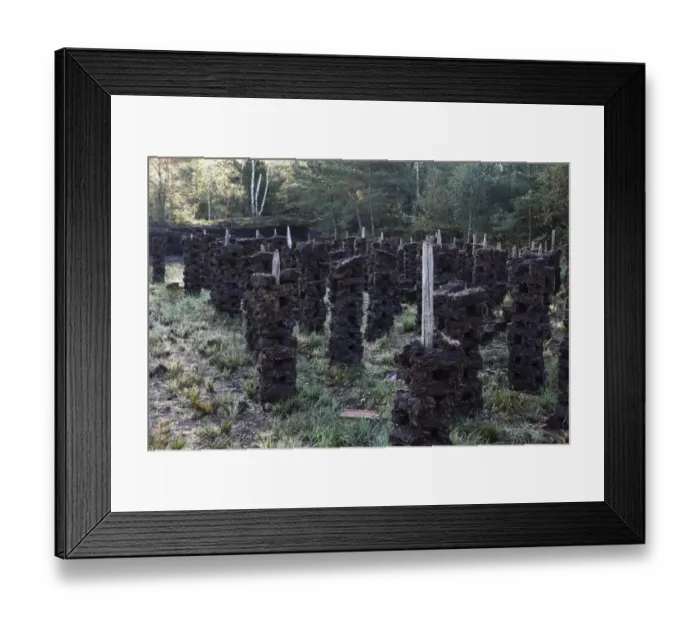 Framed Print : Peat drying, peat cutting, peat bog, Nicklheimer Moor, between Raubling and Bad Feilnbach, Upper Bavaria, Bavaria, Germany, Europe, PublicGround Framed Print : Peat drying, peat cutting, peat bog, Nicklheimer Moor, between Raubling and Bad Feilnbach, Upper Bavaria, Bavaria, Germany, Europe, PublicGround