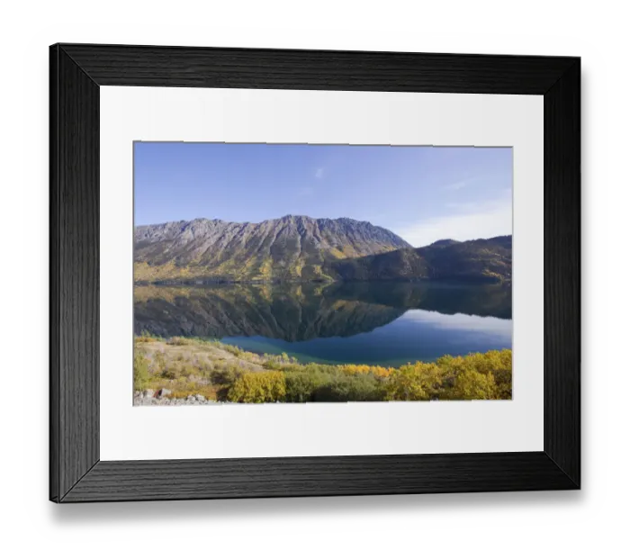 Framed Print : Calm windy arm of Tagish Lake, reflections, Escarment Mountain, Tagish Highland behind, autumn, Indian Summer, leaves in fall colours, near South Klondike Highway, Yukon Territory, Canada Framed Print : Calm windy arm of Tagish Lake, reflections, Escarment Mountain, Tagish Highland behind, autumn, Indian Summer, leaves in fall colours, near South Klondike Highway, Yukon Territory, Canada