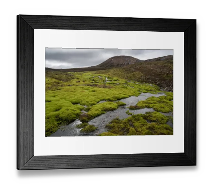 Framed Print : Creek surrounded by moss, rhyolite mountains, Landmannalaugar, Fjallabak Nature Reserve, Highlands of Iceland, Iceland, Europe Framed Print : Creek surrounded by moss, rhyolite mountains, Landmannalaugar, Fjallabak Nature Reserve, Highlands of Iceland, Iceland, Europe