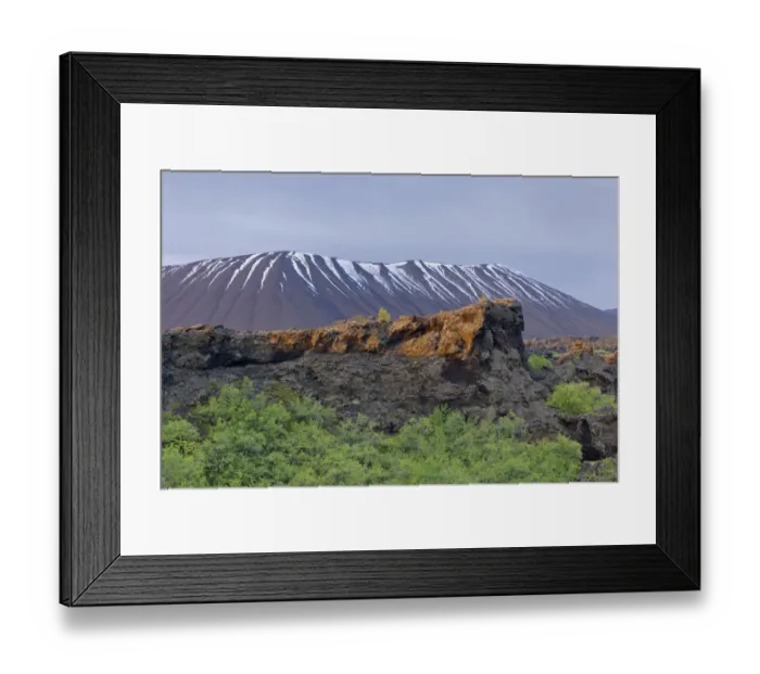 Framed Print : Dimmuborgir lava formations, Hverfjall ash crater, Skutustaoir, Northeastern Region, Iceland Framed Print : Dimmuborgir lava formations, Hverfjall ash crater, Skutustaoir, Northeastern Region, Iceland