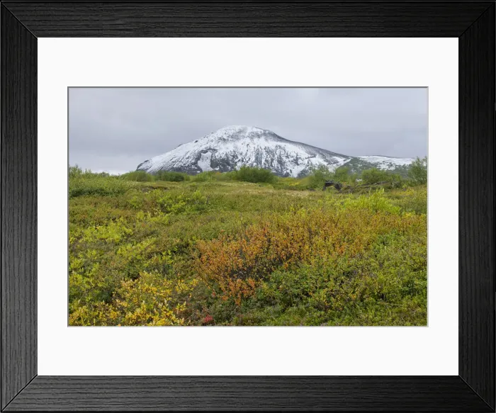 Framed Print : Snow-covered Vindbelgjarfjall mountain, Skutustaoir, Northeastern Region, Iceland Framed Print : Snow-covered Vindbelgjarfjall mountain, Skutustaoir, Northeastern Region, Iceland
