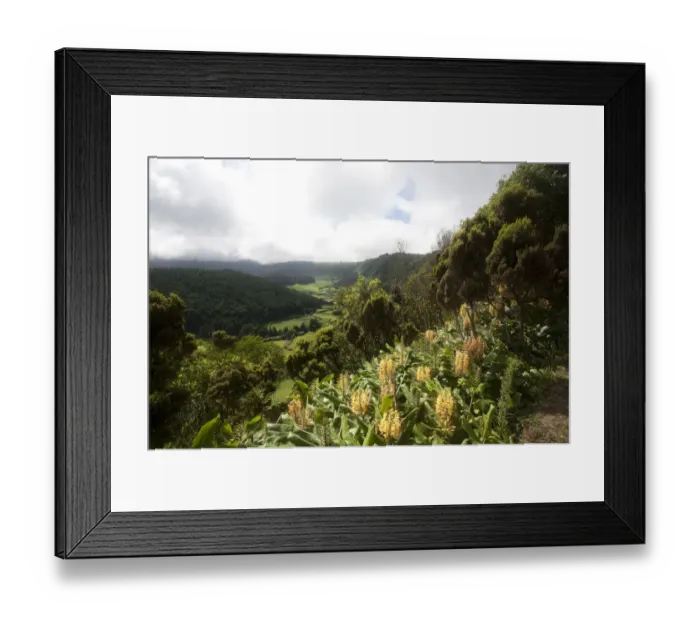 Framed Print : Volcanic crater of Lagoa do Fogo, Sao Miguel, Azores, Portugal Framed Print : Volcanic crater of Lagoa do Fogo, Sao Miguel, Azores, Portugal