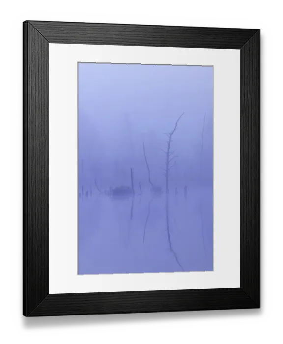 Framed Print : Schwenninger Moos Nature Reserve, source of the Neckar River, Villingen-Schwenningen, Black Forest, Baden-Wuerttemberg, Germany, Europe Framed Print : Schwenninger Moos Nature Reserve, source of the Neckar River, Villingen-Schwenningen, Black Forest, Baden-Wuerttemberg, Germany, Europe