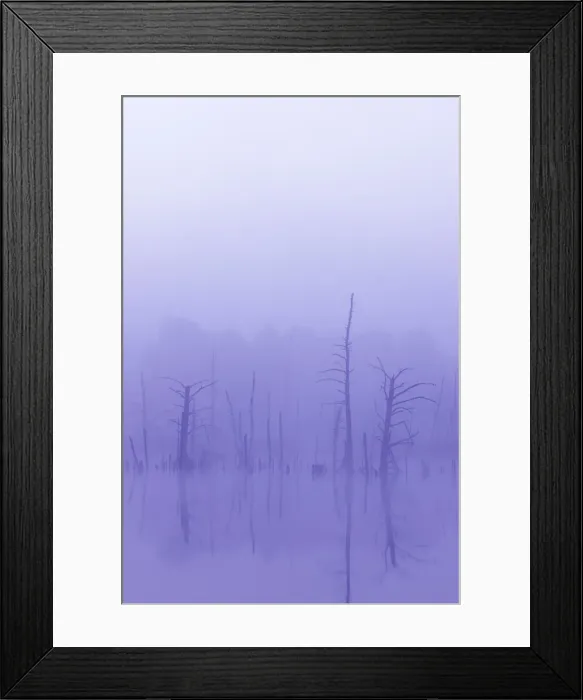 Framed Print : Schwenninger Moos Nature Reserve, source of the Neckar River, Villingen-Schwenningen, Black Forest, Baden-Wuerttemberg, Germany, Europe Framed Print : Schwenninger Moos Nature Reserve, source of the Neckar River, Villingen-Schwenningen, Black Forest, Baden-Wuerttemberg, Germany, Europe