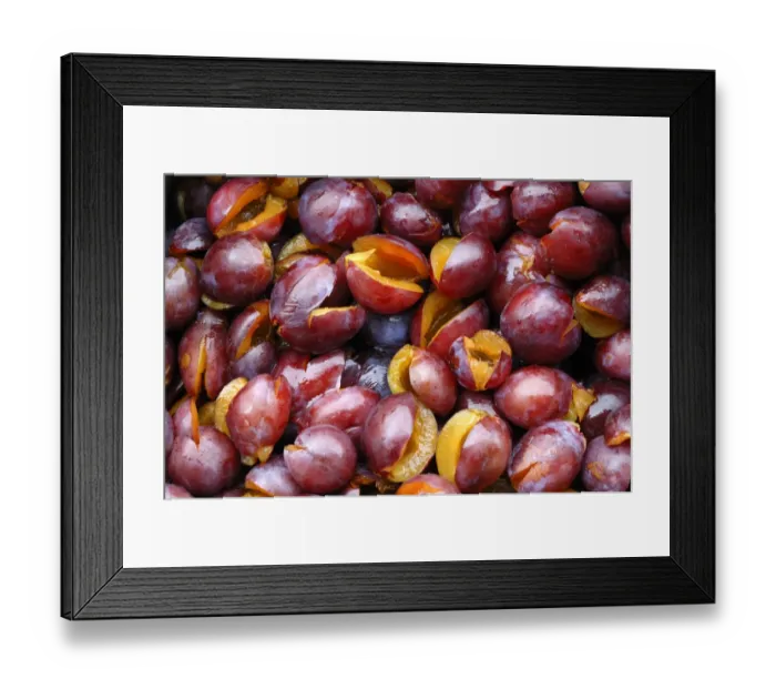 Framed Print : Pitted Prunes -Prunus domestica-, prepared to make jam Framed Print : Pitted Prunes -Prunus domestica-, prepared to make jam
