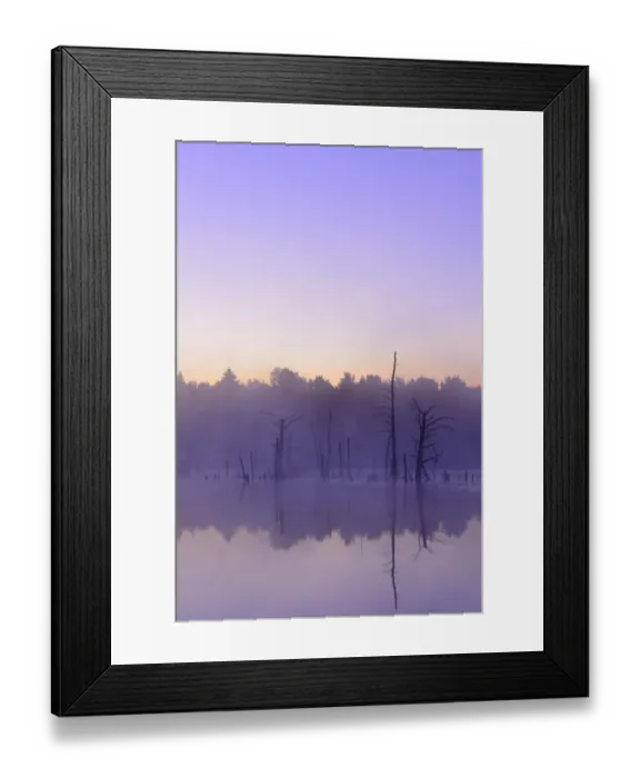 Framed Print : Schwenninger Moos Nature Reserve, source of the Neckar river, Villingen-Schwenningen, Black Forest, Baden-Wuerttemberg, Germany, Europe