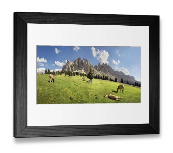 Framed Print : Panoramic view on Gschnagenhardt Alm alp with Haflinger horses and the Geisler Mountains, Villnoesstal valley, Puez-Geisler Nature Park, province of Bolzano-Bozen, Italy, Europe Framed Print : Panoramic view on Gschnagenhardt Alm alp with Haflinger horses and the Geisler Mountains, Villnoesstal valley, Puez-Geisler Nature Park, province of Bolzano-Bozen, Italy, Europe