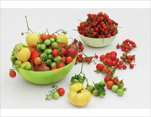 Various tomato varieties