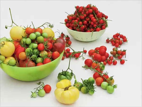 Various tomato varieties