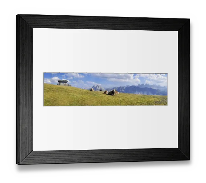 Framed Print : Cows, Aferer Alm alp on Plosen mountain, view of Aferer Geisler Massif and Peitlerkofel mountain, Wuerzjoch ridge, Villnoesstal valley, Dolomites, province of Bolzano-Bozen, Italy, Europe Framed Print : Cows, Aferer Alm alp on Plosen mountain, view of Aferer Geisler Massif and Peitlerkofel mountain, Wuerzjoch ridge, Villnoesstal valley, Dolomites, province of Bolzano-Bozen, Italy, Europe