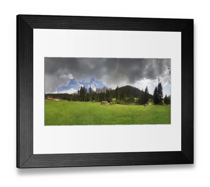 Framed Print : Cows on the pasture, Zanser Alm alp after a thunderstorm, Geisler group, Santa Maddalena, Villnoesstal valley, province of Bolzano-Bozen, Italy Framed Print : Cows on the pasture, Zanser Alm alp after a thunderstorm, Geisler group, Santa Maddalena, Villnoesstal valley, province of Bolzano-Bozen, Italy