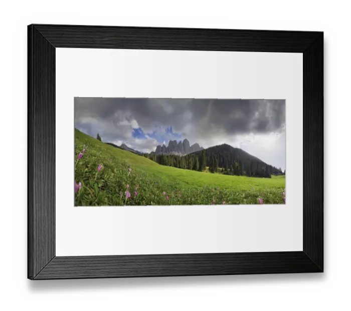 Framed Print : Flowering mountain pasture after a thunderstorm at Zanser Alm alp with the Geisler Group, Odle Mountains, Santa Maddalena, Dolomites, South Tyrol, Italy, Europe Framed Print : Flowering mountain pasture after a thunderstorm at Zanser Alm alp with the Geisler Group, Odle Mountains, Santa Maddalena, Dolomites, South Tyrol, Italy, Europe