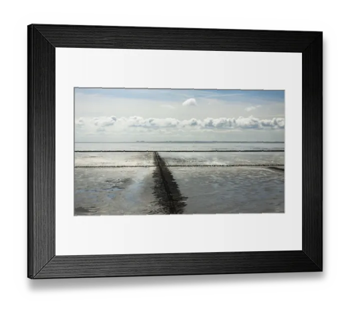 Framed Print : Land reclamation on the North Sea by groynes and fascines, North Frisia, Schleswig-Holstein, Germany, Europe, PublicGround Framed Print : Land reclamation on the North Sea by groynes and fascines, North Frisia, Schleswig-Holstein, Germany, Europe, PublicGround
