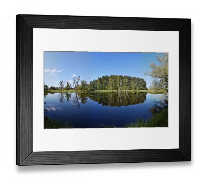 Framed Print : Reflection of trees in swamp, Starnberg Lake, Upper Bavaria, Bavaria, Germany Framed Print : Reflection of trees in swamp, Starnberg Lake, Upper Bavaria, Bavaria, Germany