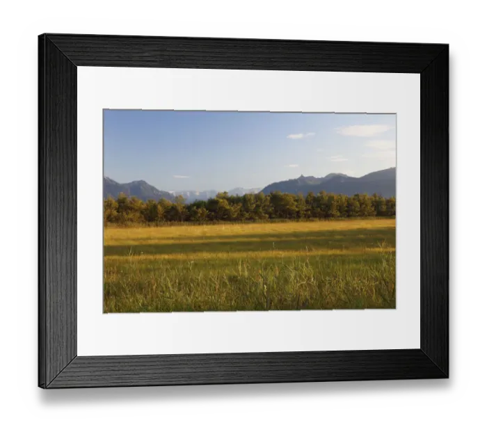 Framed Print : Murnauer Moos marshland, Murnau, Blaues Land region, Upper Bavaria, Bavaria, Germany, Europe, PublicGround Framed Print : Murnauer Moos marshland, Murnau, Blaues Land region, Upper Bavaria, Bavaria, Germany, Europe, PublicGround